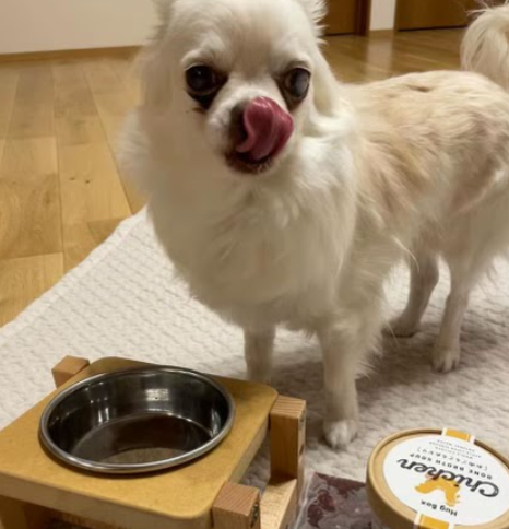 おこめくんと飼い主様の幸せな時間